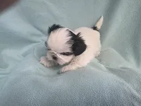 processed/3b055203-a1e0-4fa4-859f-c94719654aed/listing/83a45430-463e-42d0-bb20-e5ee776b7eff/f6a64ecb-3075-4e99-9885-183c6dbe98d7