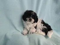 processed/3b055203-a1e0-4fa4-859f-c94719654aed/listing/8ea2fae6-152d-4fd6-8d4e-25d7bfa72aff/0827b6d3-8f14-410e-a52f-471cc09fed72