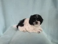 processed/3b055203-a1e0-4fa4-859f-c94719654aed/listing/8ea2fae6-152d-4fd6-8d4e-25d7bfa72aff/117df971-870c-4e4b-bea9-cf5b20eb2003