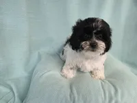 processed/3b055203-a1e0-4fa4-859f-c94719654aed/listing/8ea2fae6-152d-4fd6-8d4e-25d7bfa72aff/18e83e40-90dc-4db9-9665-13c2748d247e