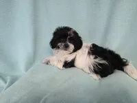 processed/3b055203-a1e0-4fa4-859f-c94719654aed/listing/8ea2fae6-152d-4fd6-8d4e-25d7bfa72aff/6b0ccf68-39fa-495d-a473-1b37344e032d