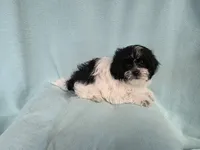 processed/3b055203-a1e0-4fa4-859f-c94719654aed/listing/8ea2fae6-152d-4fd6-8d4e-25d7bfa72aff/f6965d90-70af-4223-baf5-68c562e5c43a