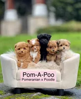 processed/3b0a507f-a29d-41af-a863-1929a584ede9/facility/1c092b1b-98d1-4f08-81a4-93ff0fcb3134