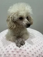 processed/3b0a507f-a29d-41af-a863-1929a584ede9/facility/36b5947d-f93a-4682-90de-f39b85b0ba1a