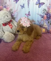 processed/3b10b497-89e5-417e-82a0-45c9d9f811d4/listing/56425ba4-976b-4acc-b629-0d23b838583c/5bc1786c-fb5a-4d72-8253-88e4afddfba2