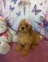 processed/3b10b497-89e5-417e-82a0-45c9d9f811d4/listing/56425ba4-976b-4acc-b629-0d23b838583c/86a0d7c9-7c96-493a-a01b-1cbf2362b11e