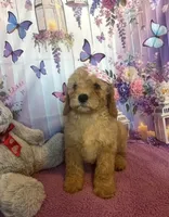 processed/3b10b497-89e5-417e-82a0-45c9d9f811d4/listing/56425ba4-976b-4acc-b629-0d23b838583c/892eb770-5d3d-4d5c-b8b5-16d95b2ededd