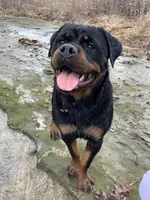 processed/3b10de57-8c54-4eac-ac04-1ba901a66731/facility/128daf5f-4857-438a-af8f-2526a9dee1ce