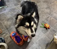 processed/3b154cbf-4c38-434f-afc8-075bd056c810/listing/ff6bb114-eb3d-4f92-811e-7c0e263d6a7d/11560185-e2e2-4b95-af67-a12a545703a1