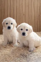 processed/3b186660-1d57-4dff-b524-798dd81b902b/facility/39bbd658-ff02-4dd8-9c3f-9295243596cb