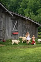 processed/3b186660-1d57-4dff-b524-798dd81b902b/facility/6d44504a-66c0-49ac-9ab2-9158095e58b6