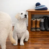 processed/3b186660-1d57-4dff-b524-798dd81b902b/facility/6f6a587b-54ca-4f7c-a6ad-935839f495fe