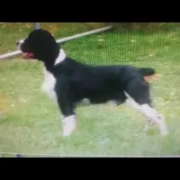 processed/3b186660-1d57-4dff-b524-798dd81b902b/facility/d6ac119b-6fea-4211-898a-0dd5cd497449