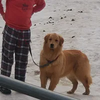 processed/3b186660-1d57-4dff-b524-798dd81b902b/facility/e89e6e9f-97f0-49a8-be4d-c88135dc20d5