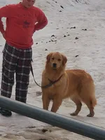 processed/3b186660-1d57-4dff-b524-798dd81b902b/facility/e89e6e9f-97f0-49a8-be4d-c88135dc20d5