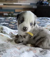 processed/3b1e02fe-93e0-4482-ad24-f1223b298381/listing/4afe87bc-d961-448e-9bf5-f02fdd1042eb/09e24c58-003a-426b-af17-16b08e540078