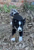 processed/3b1e02fe-93e0-4482-ad24-f1223b298381/listing/f7f9b816-a805-40a6-8fbb-f20b0eb311db/2641cc2c-850c-4ffa-ad72-506139a15150