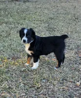 processed/3b1e02fe-93e0-4482-ad24-f1223b298381/listing/f7f9b816-a805-40a6-8fbb-f20b0eb311db/627b6f0c-1f9a-4d4c-b5ae-1ade90fde46e