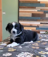 processed/3b1e02fe-93e0-4482-ad24-f1223b298381/listing/f7f9b816-a805-40a6-8fbb-f20b0eb311db/9a7aaf76-4607-4b9d-8ae5-5afb38939f6a