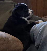 processed/3b1e02fe-93e0-4482-ad24-f1223b298381/listing/f7f9b816-a805-40a6-8fbb-f20b0eb311db/a457032c-77ec-4552-91a2-4fd6ab2eeca5