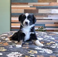 processed/3b1e02fe-93e0-4482-ad24-f1223b298381/listing/f7f9b816-a805-40a6-8fbb-f20b0eb311db/cb7abe56-6774-47eb-b532-dbb38d2f2674