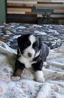 processed/3b1e02fe-93e0-4482-ad24-f1223b298381/listing/f7f9b816-a805-40a6-8fbb-f20b0eb311db/e3665a4f-3f42-492a-bd8a-639ecc8884cd