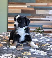 processed/3b1e02fe-93e0-4482-ad24-f1223b298381/listing/f7f9b816-a805-40a6-8fbb-f20b0eb311db/f9c3caa4-412c-405e-b0cd-9561b240274b