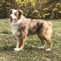 processed/3b261548-312d-4296-85c2-f36fb1e0dd23/facility/08fbfdf1-46fb-490c-b1fe-4a935f31dbbf