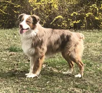 processed/3b261548-312d-4296-85c2-f36fb1e0dd23/facility/08fbfdf1-46fb-490c-b1fe-4a935f31dbbf