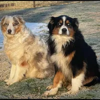 processed/3b261548-312d-4296-85c2-f36fb1e0dd23/facility/0a252bfb-e19c-486a-9c95-e08e6a856923