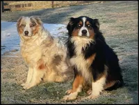 processed/3b261548-312d-4296-85c2-f36fb1e0dd23/facility/0a252bfb-e19c-486a-9c95-e08e6a856923