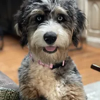 processed/3b261548-312d-4296-85c2-f36fb1e0dd23/facility/2963ebb9-ed6e-4c1f-967e-6cfc512c29e3