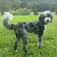 processed/3b261548-312d-4296-85c2-f36fb1e0dd23/facility/3bb346c9-945e-4f18-a1bb-4ea4555a7ee3