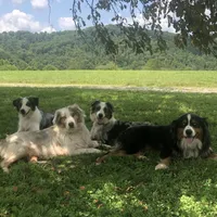 processed/3b261548-312d-4296-85c2-f36fb1e0dd23/facility/6b3cac84-9cbe-4a62-b55c-f379b0a12631