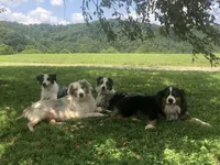 processed/3b261548-312d-4296-85c2-f36fb1e0dd23/facility/6b3cac84-9cbe-4a62-b55c-f379b0a12631