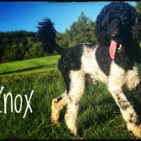 processed/3b261548-312d-4296-85c2-f36fb1e0dd23/facility/869d12de-e855-4c31-bac3-a795f0b16981