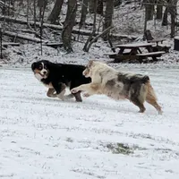 processed/3b261548-312d-4296-85c2-f36fb1e0dd23/facility/9812ffa6-1183-48d0-a9fd-fcb9926c7a56