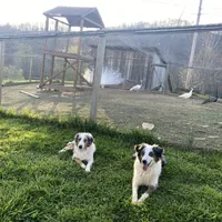 processed/3b261548-312d-4296-85c2-f36fb1e0dd23/facility/98eb9ed1-572a-42b1-97f5-2ddf73cb68ef