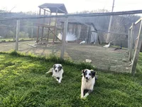 processed/3b261548-312d-4296-85c2-f36fb1e0dd23/facility/98eb9ed1-572a-42b1-97f5-2ddf73cb68ef