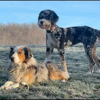 processed/3b261548-312d-4296-85c2-f36fb1e0dd23/facility/bb8b8d77-e5fb-4922-ae7e-20a521c38c41