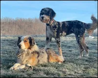 processed/3b261548-312d-4296-85c2-f36fb1e0dd23/facility/bb8b8d77-e5fb-4922-ae7e-20a521c38c41