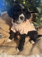 processed/3b261548-312d-4296-85c2-f36fb1e0dd23/listing/dfe50a7d-dc62-41ab-833f-bb1d3953fa62/36486123-1d4f-4ba1-9d1d-8ee34b79f1c7