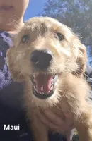 processed/3b37cf5a-99ff-486b-b1dc-7a0aaa45bc77/listing/9902a953-efbd-4c10-91b3-21b69aea7b26/1891ffd6-be5d-4185-acbd-22221020c1c9