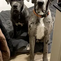 processed/3b392742-aef5-405d-a72a-371a455402d7/facility/6bc6e886-78c6-48d4-9bbc-be6c981a52a7