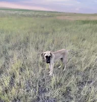 processed/3b392742-aef5-405d-a72a-371a455402d7/facility/e69283a1-820d-4699-a1c1-85baf65e3e72