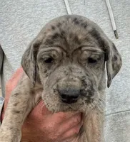 processed/3b392742-aef5-405d-a72a-371a455402d7/listing/4df80e90-97ce-40a9-8d83-12817090da0f/733cec21-b3ab-430a-a537-59bd4e742db9