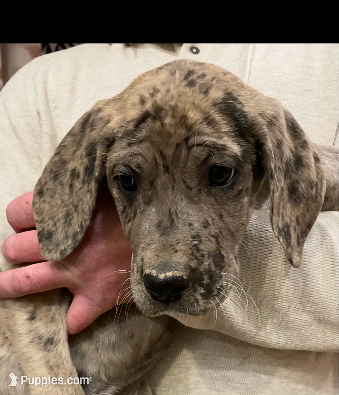 processed/3b392742-aef5-405d-a72a-371a455402d7/listing/4df80e90-97ce-40a9-8d83-12817090da0f/8eee4b0c-1ff1-406b-ab17-788953f0fc88