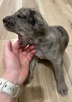 processed/3b392742-aef5-405d-a72a-371a455402d7/listing/4df80e90-97ce-40a9-8d83-12817090da0f/b3b6b62b-0d3e-4dea-9ba6-d8d7542cac46