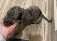 processed/3b392742-aef5-405d-a72a-371a455402d7/listing/4df80e90-97ce-40a9-8d83-12817090da0f/bcefe4d4-0354-4657-aa2b-7f4562a784b0