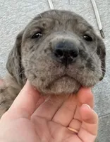 processed/3b392742-aef5-405d-a72a-371a455402d7/listing/4df80e90-97ce-40a9-8d83-12817090da0f/f5b323aa-9f53-4f7e-9a09-4c8554ccb413